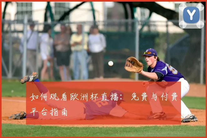 如何观看欧洲杯直播:免费与付费平台指南