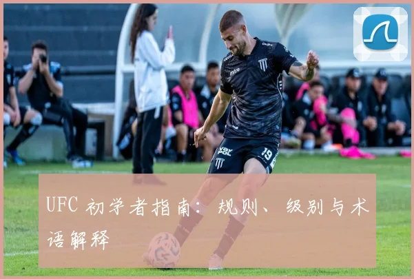 UFC 初学者指南:规则、级别与术语解释