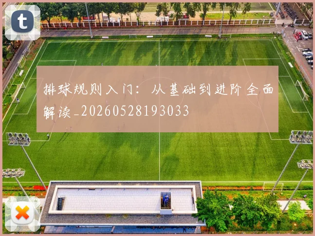排球规则入门:从基础到进阶全面解读_20260528193033