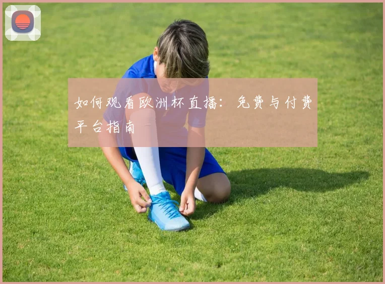 如何观看欧洲杯直播：免费与付费平台指南