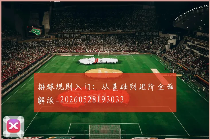 排球规则入门:从基础到进阶全面解读_20260528193033