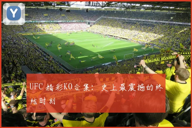 UFC 精彩KO合集：史上最震撼的终结时刻